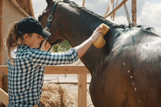 Staying Cool in the Saddle: Riding Safely and Mindfully in the Summer Heat
