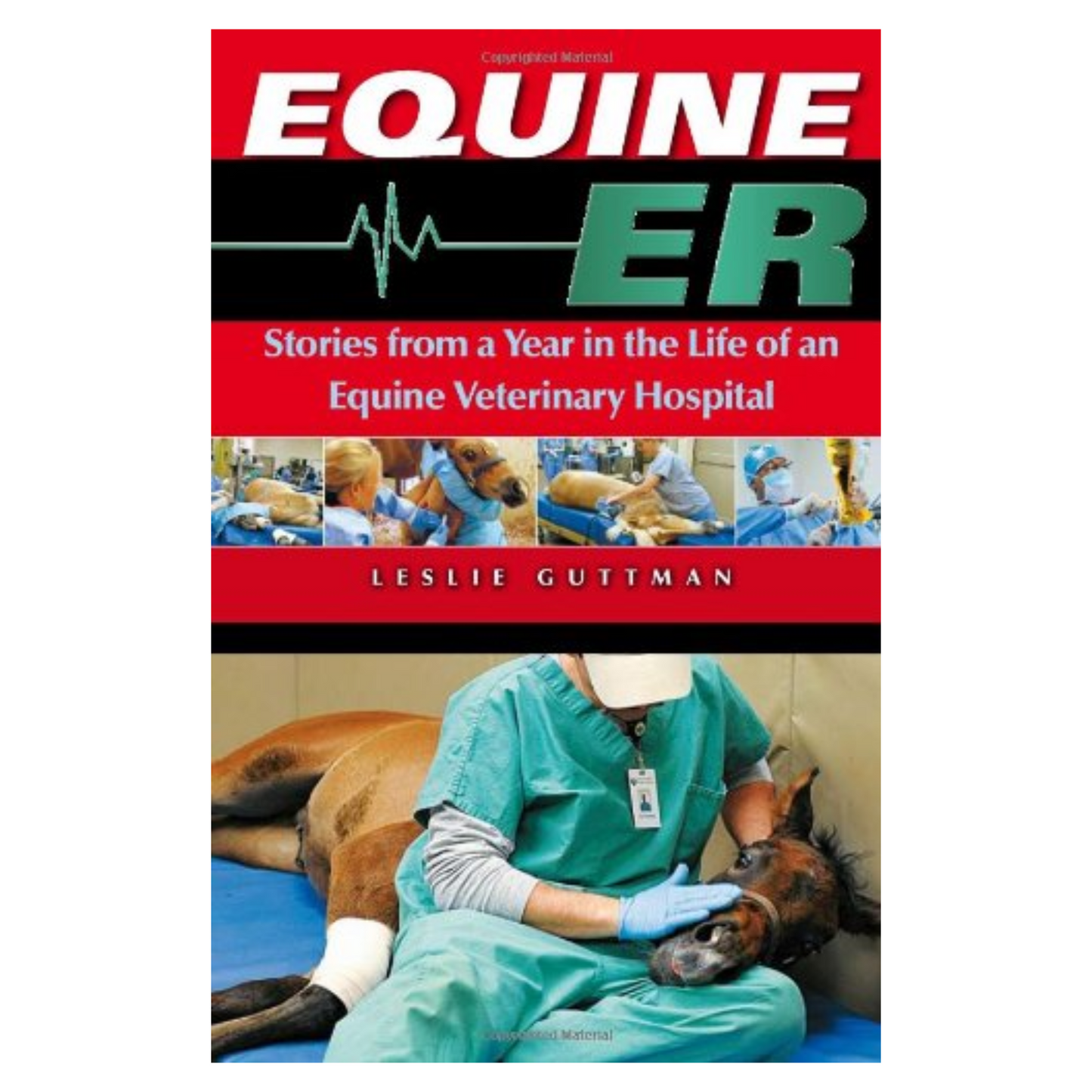 Equine ER Stories from a Year in the Life
