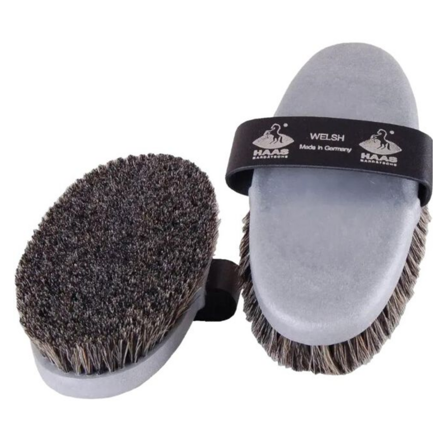 Haas Welsh Brush