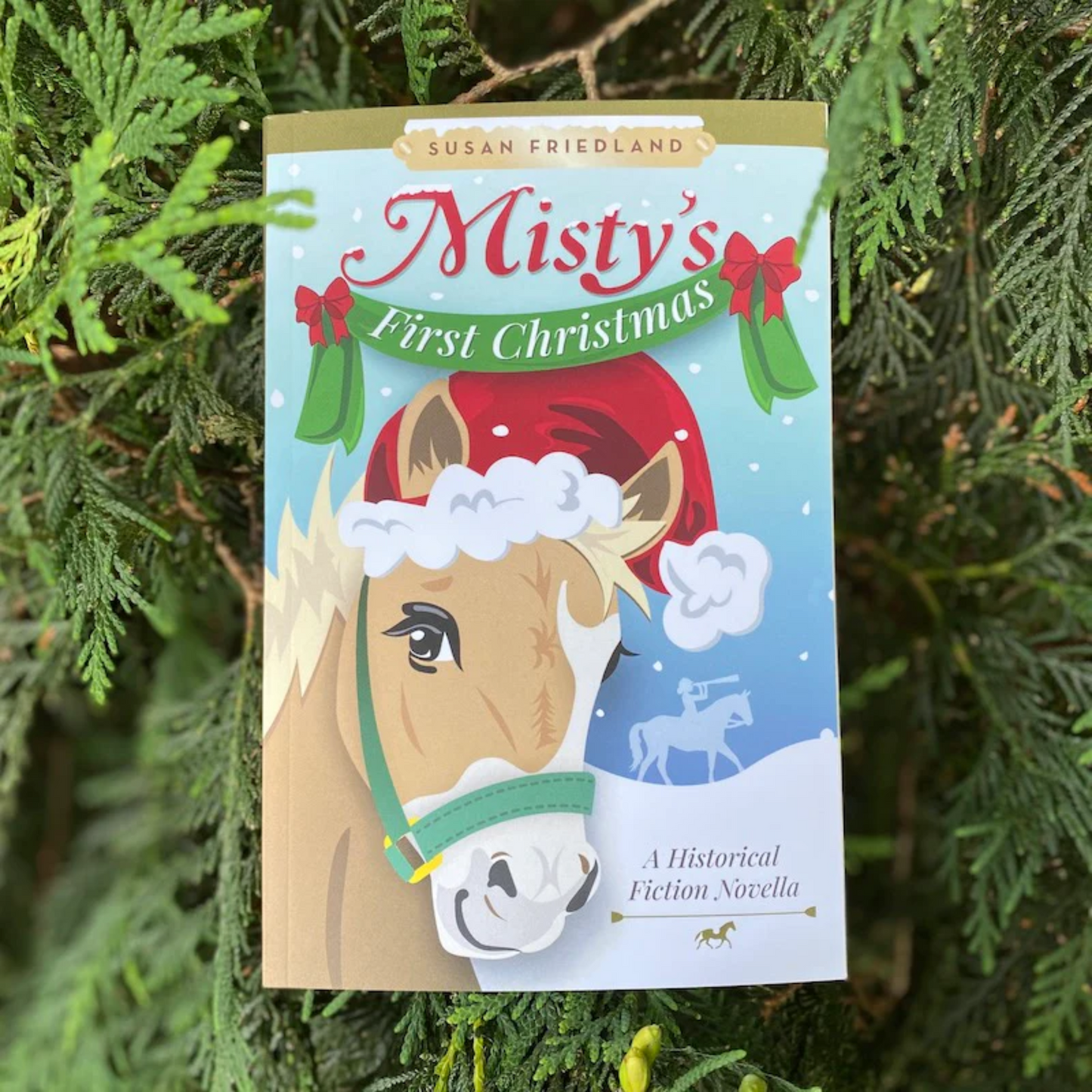 Misty's First Christmas by Susan Friedland
