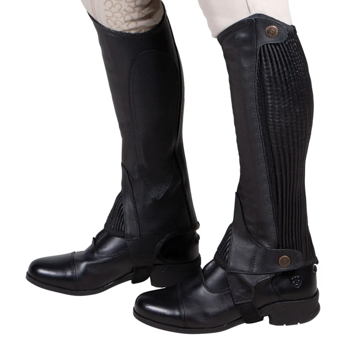 Ovation Ladies Pro Top Grain Half Chaps