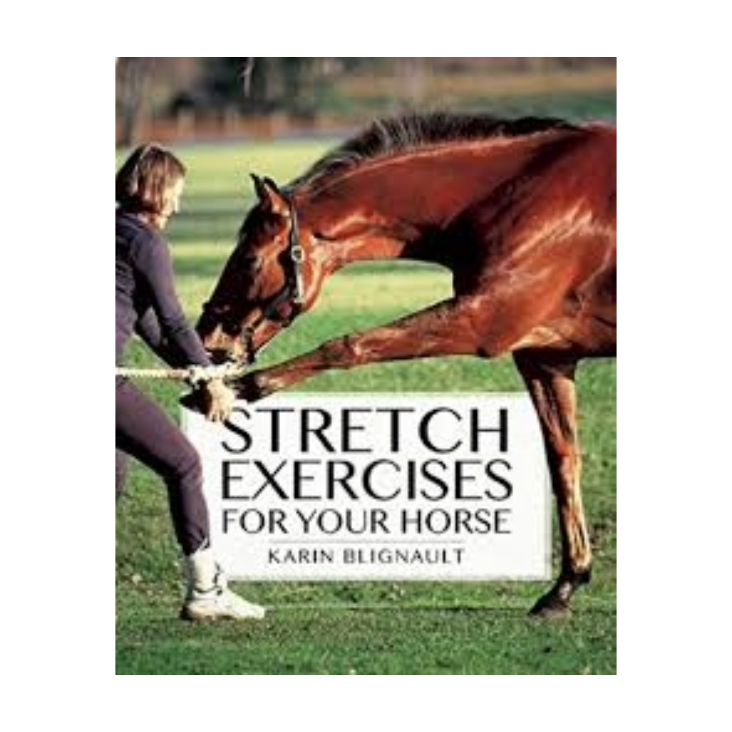 Stretch Exercises for Your Horse by Karin Blignault