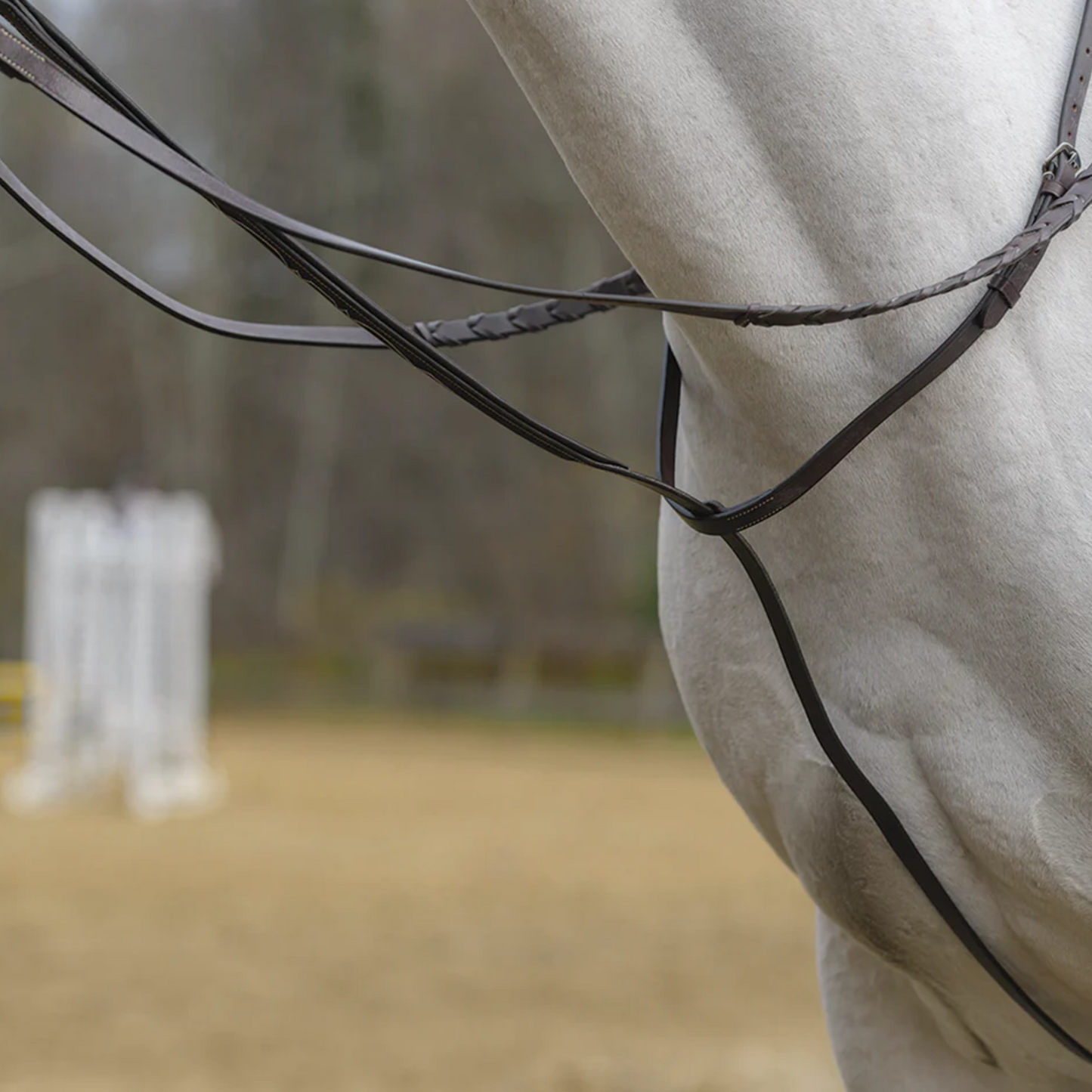 Avignon Standing Martingale