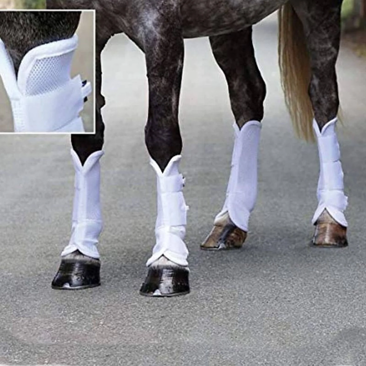 Arma Airflow Turnout Fly Boot