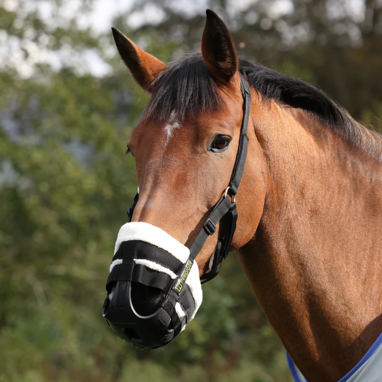 FreeGraze Airflow Grazing Muzzle