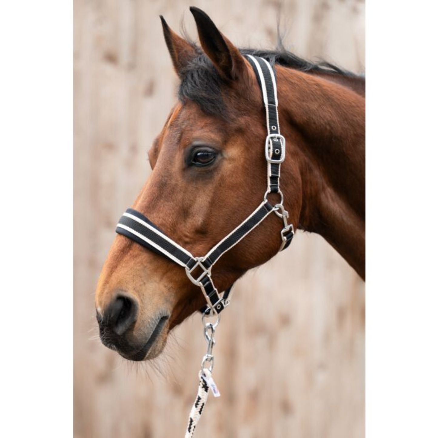 HKM Halter with Lead Rope