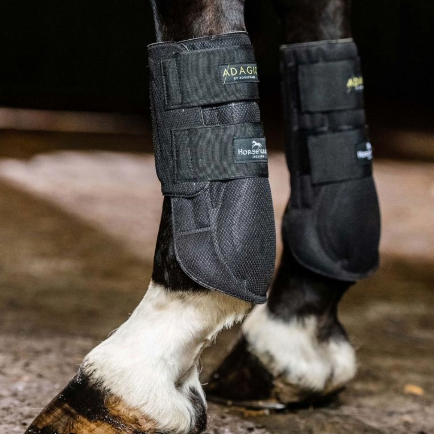 Horseware Adagio All Around Boot