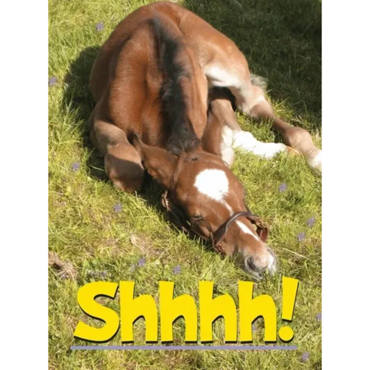 Horse Hollow Shh Birthday Card