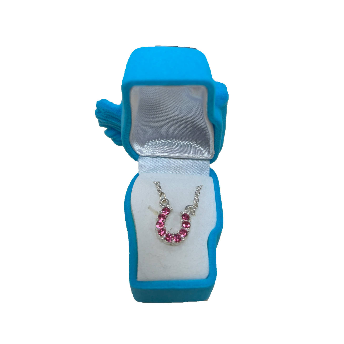 AWST Rhinestone Horseshoe Necklace with Horse Head Gift Box