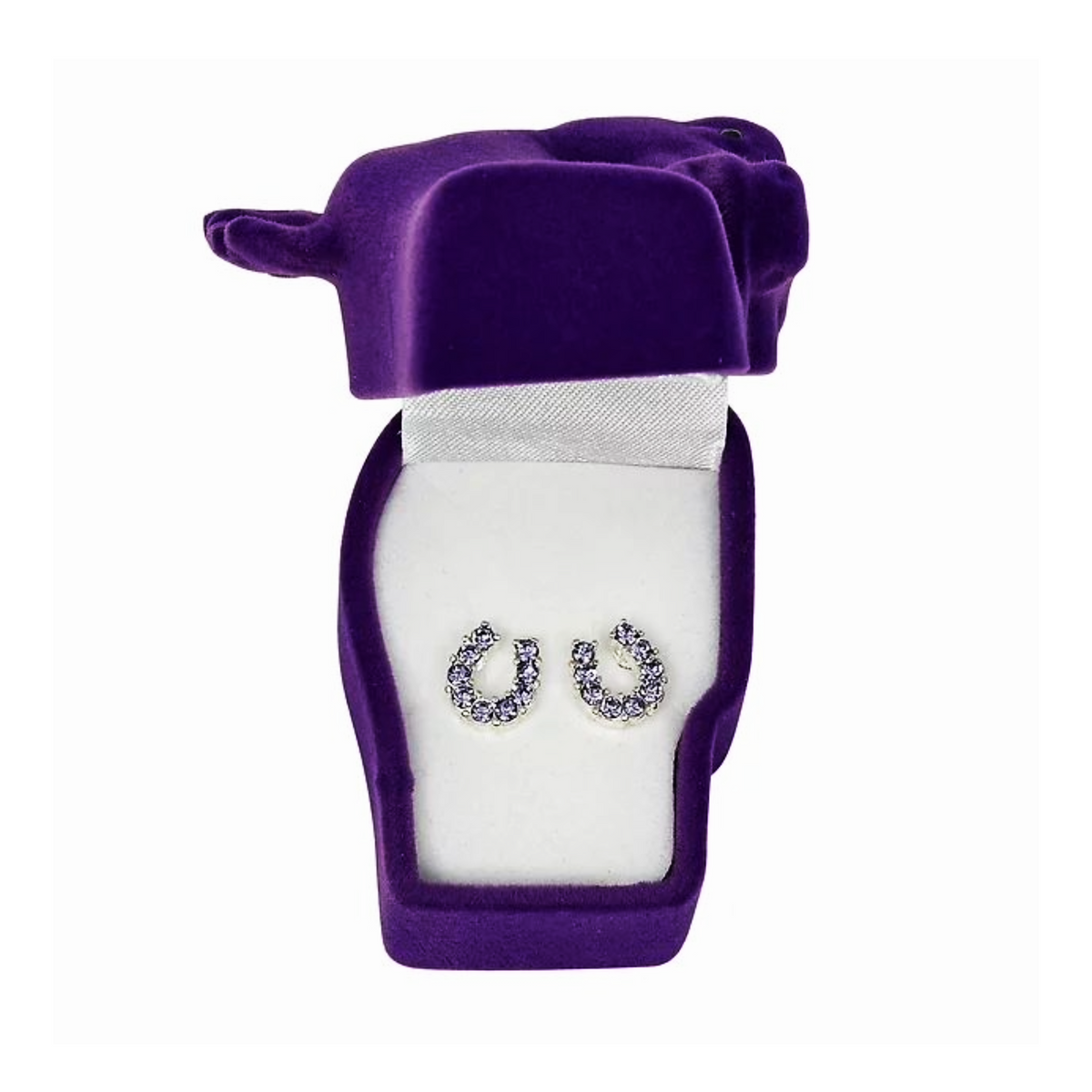 AWST Strass Hoefijzer Oorbellen Met Paardenhoofd Geschenksdoos