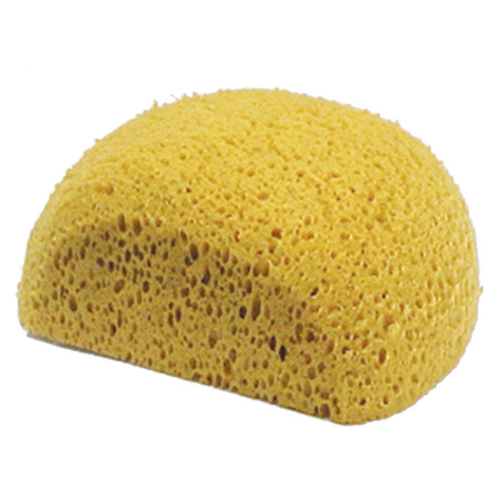 Turtle Back Sponge