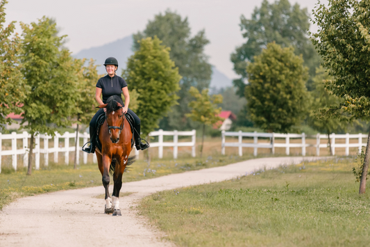 Spring has sprung! Preparing for Riding After a Long Winter