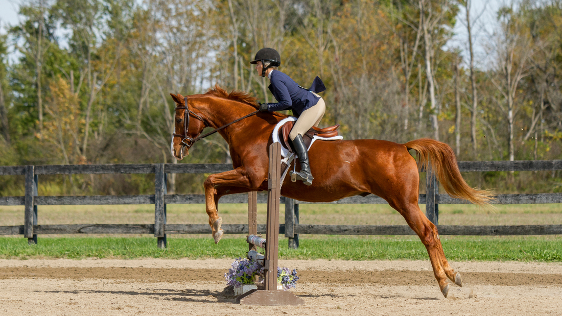 How to Look Your Best for the Show Ring - Rider Edition