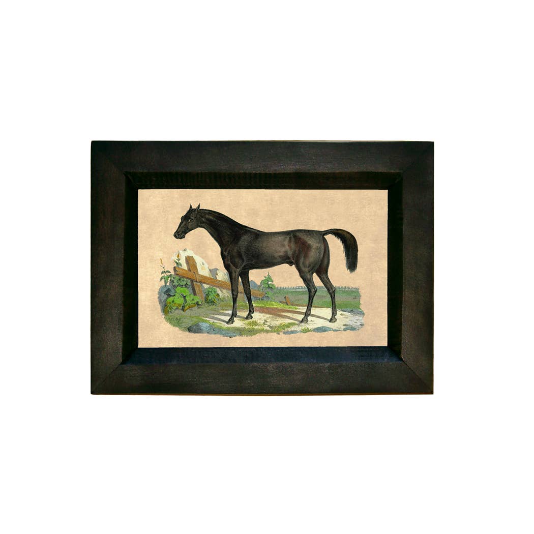 Thoroughbred Horse Vintage Print Behind Glass, 4” x 6”