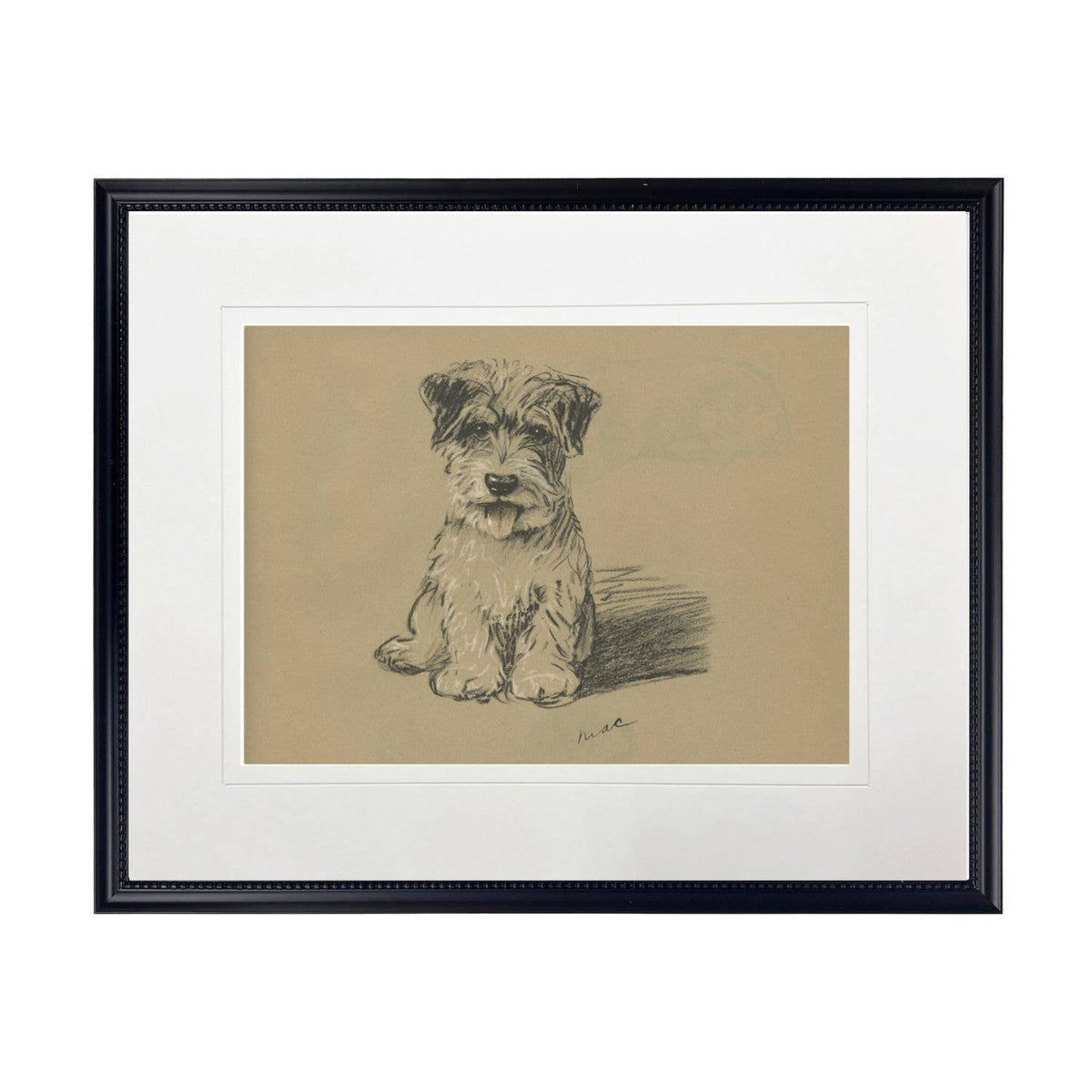 Terrier Dog Sketch Framed Print