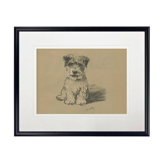 Terrier Dog Sketch Framed Print