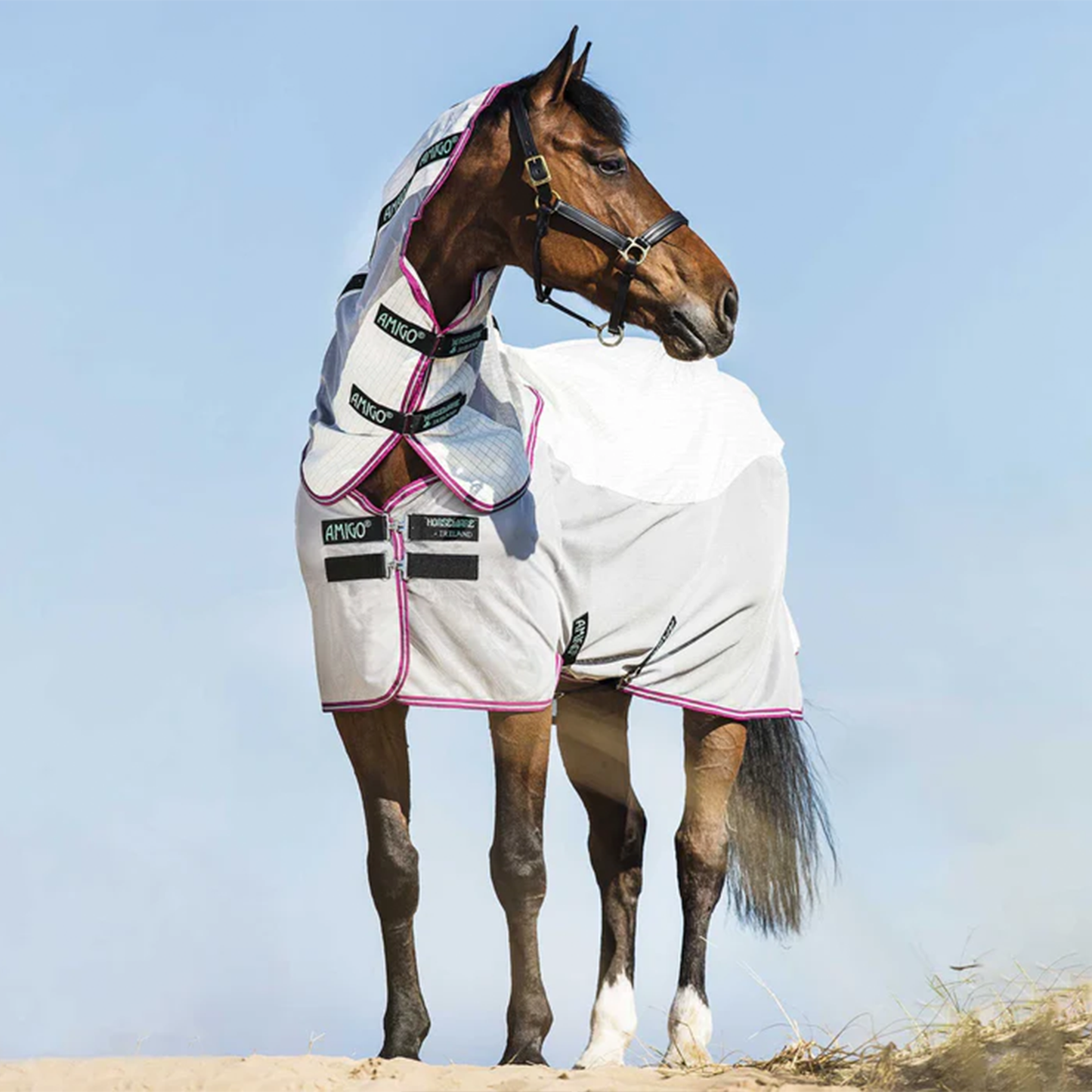 Horseware Amigo Airflow Fly Sheet