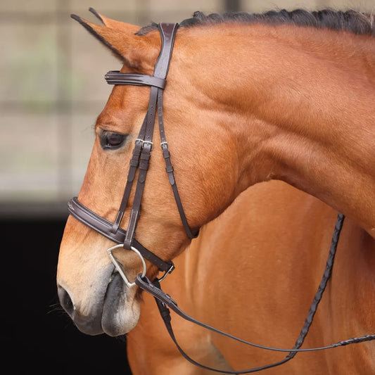 Shires Avignon Wellington Leather Bridle