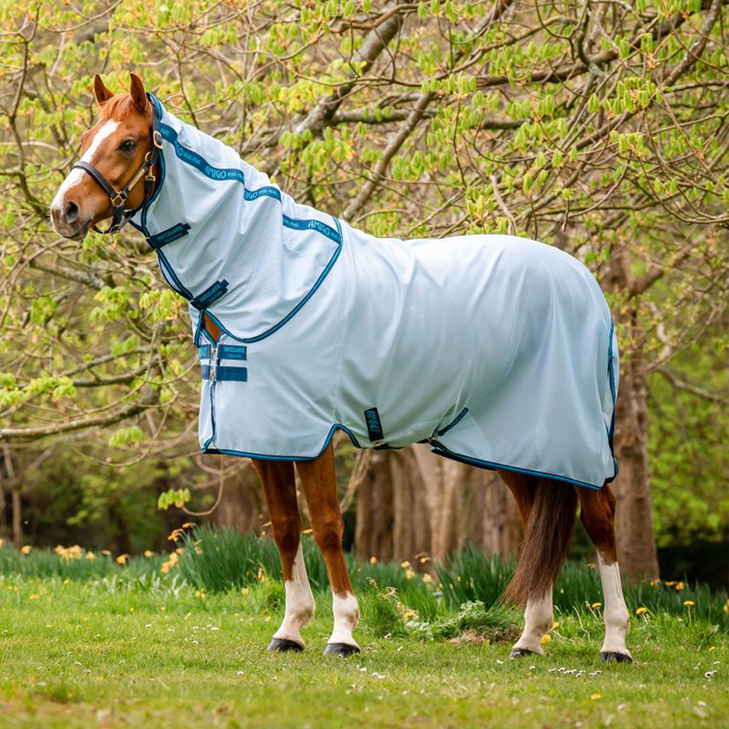 Horseware Amigo Bug Rug