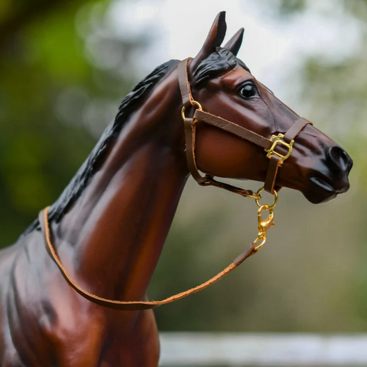 Breyer Halter & Lead