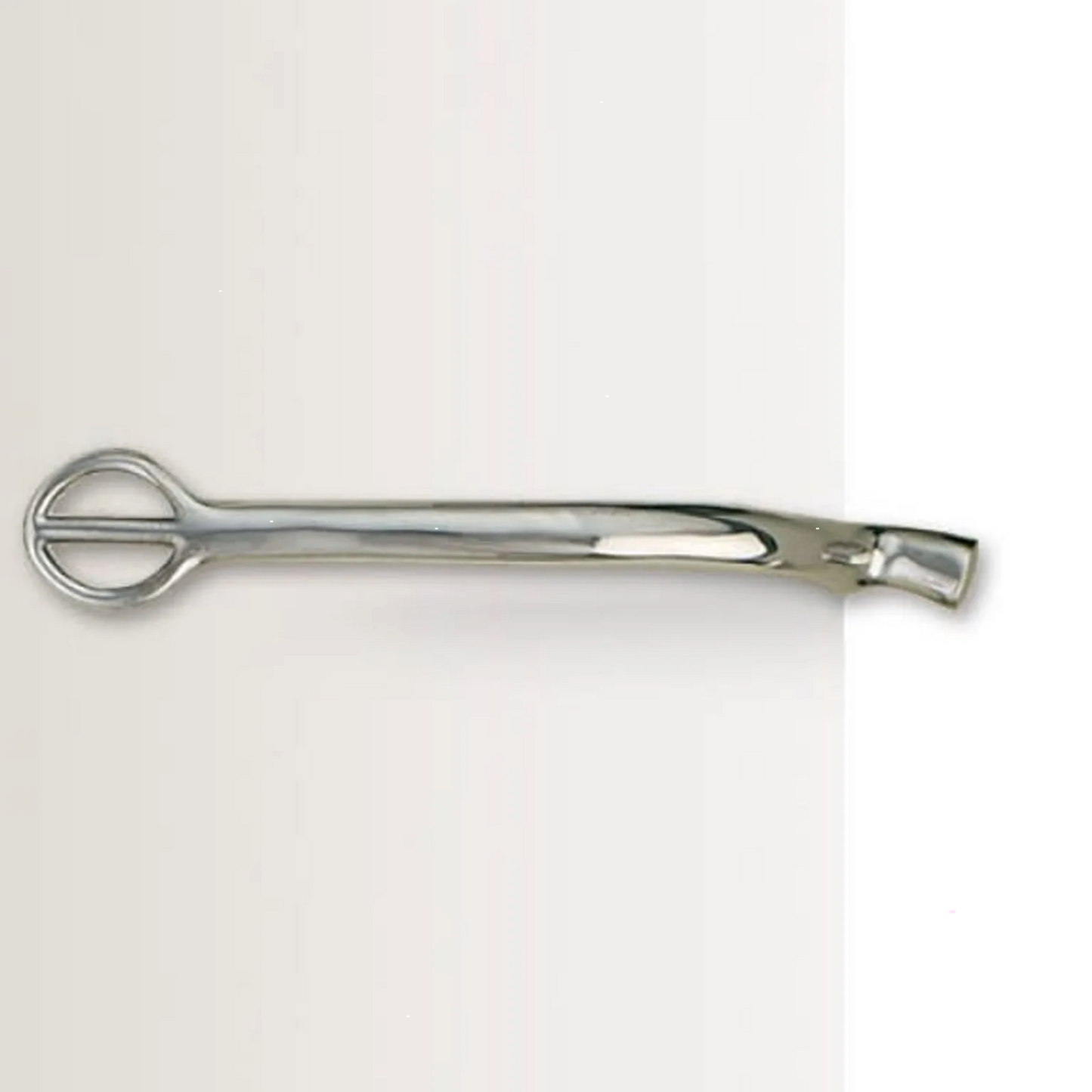 Centaur Children's 1/4" Tom Thumb Stainless Steel Spur