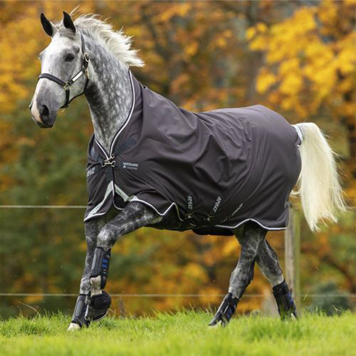 Horseware Amigo Bravo 12 Turnout Blanket