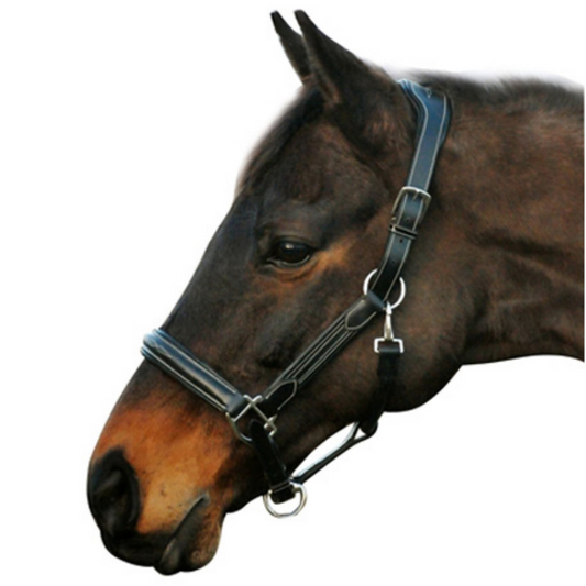 HDR Stress Free Halter