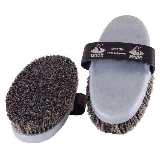 Haas Welsh Brush