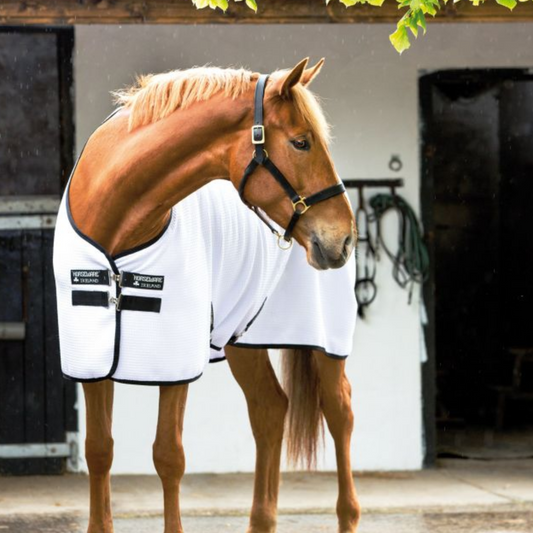 Horseware Rambo Techni-Waffle Cooler