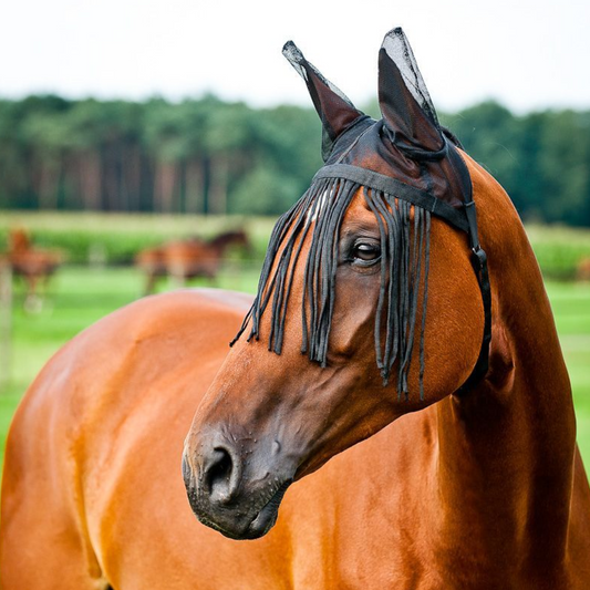 Horze Fringe Veil Fly Bonnet