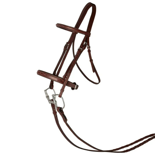 Huntley Fancy Stitched Schooling Bridle