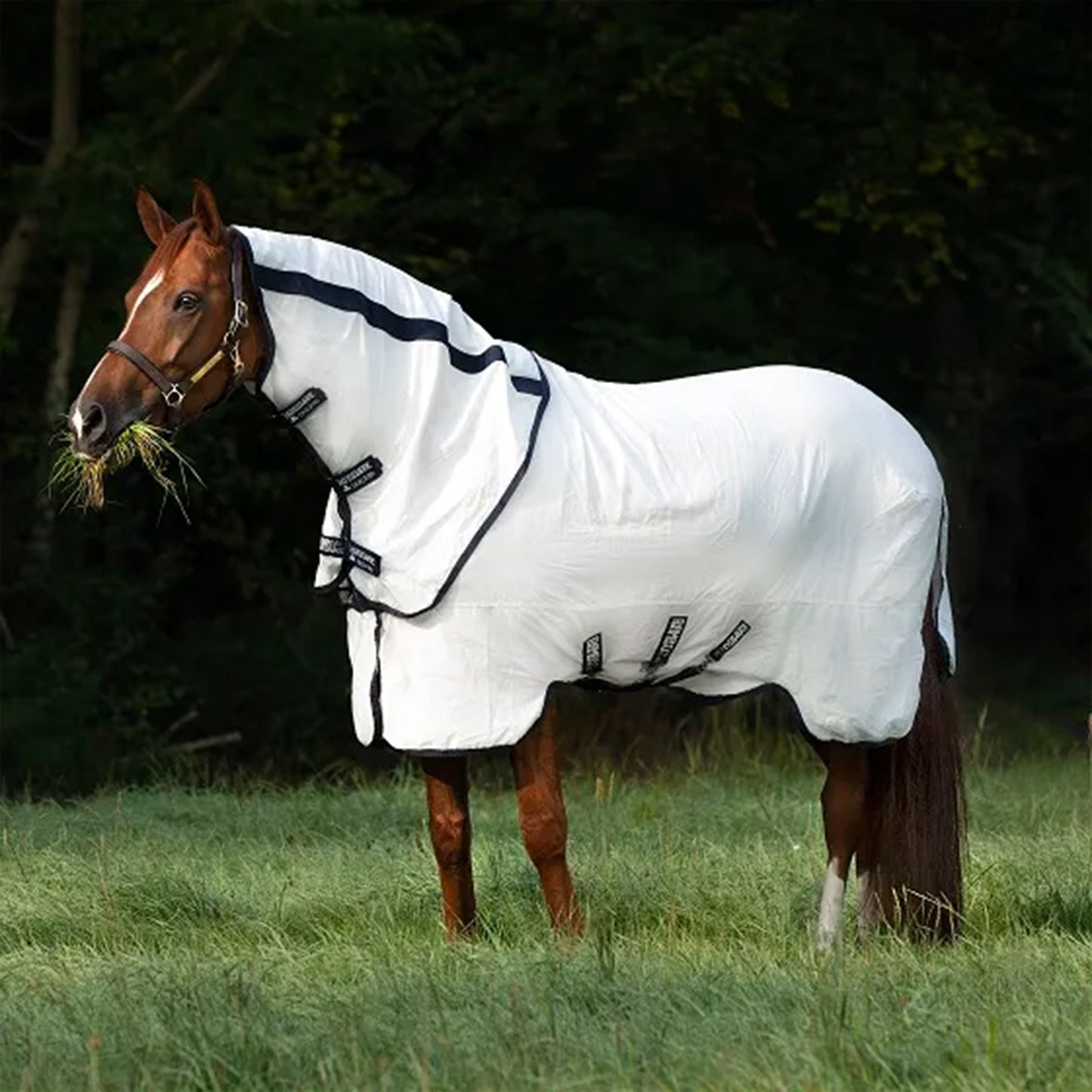 Horseware Rambo Natura Rug