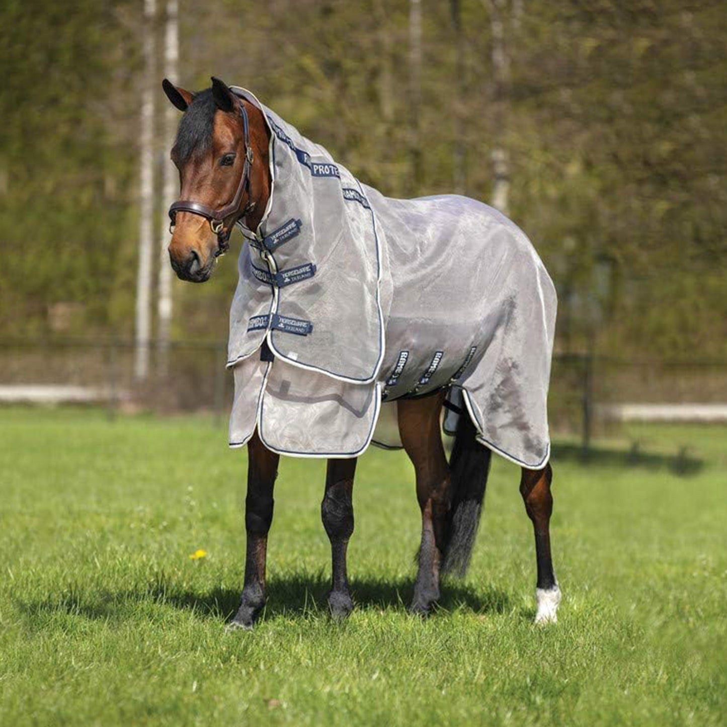 Horseware Rambo Protector