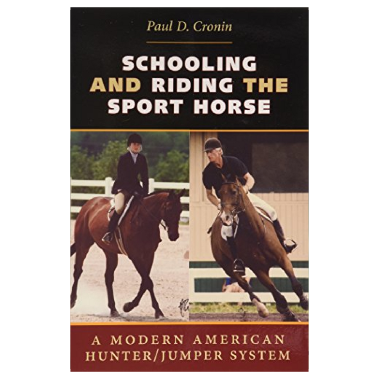 Schooling and Riding Sport Horse by Paul Cronin