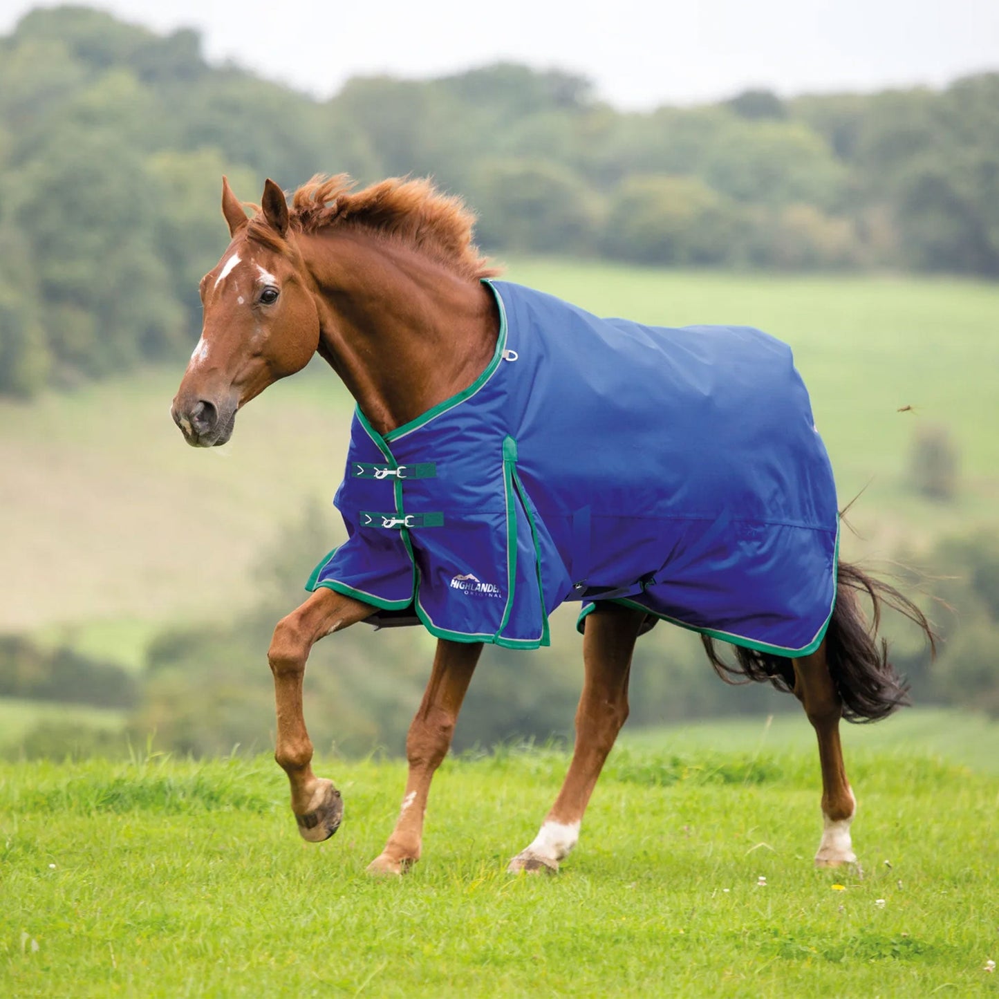 Shires Highlander Plus 200 Turnout Rug