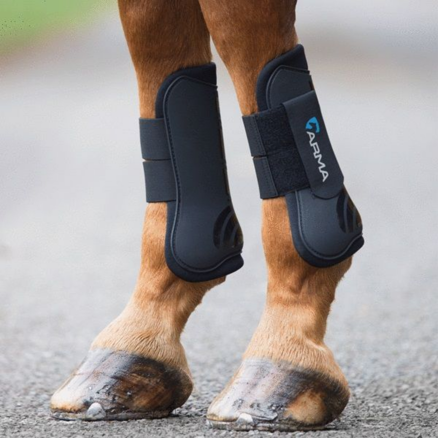 Shires ARMA Tendon Boots
