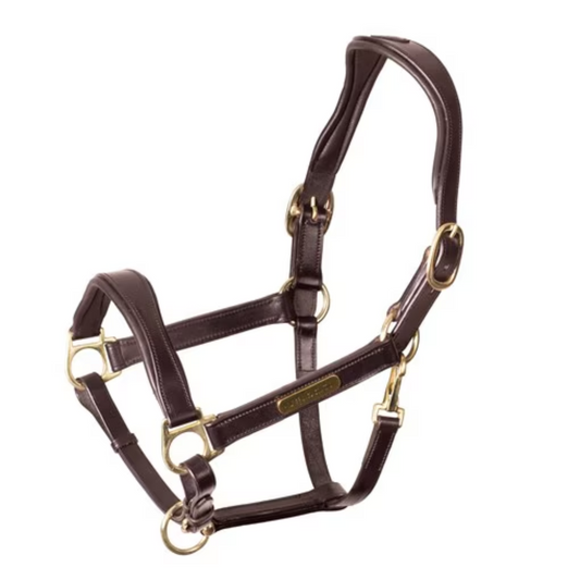 Shires Rapida Cushioned Leather Headcollar