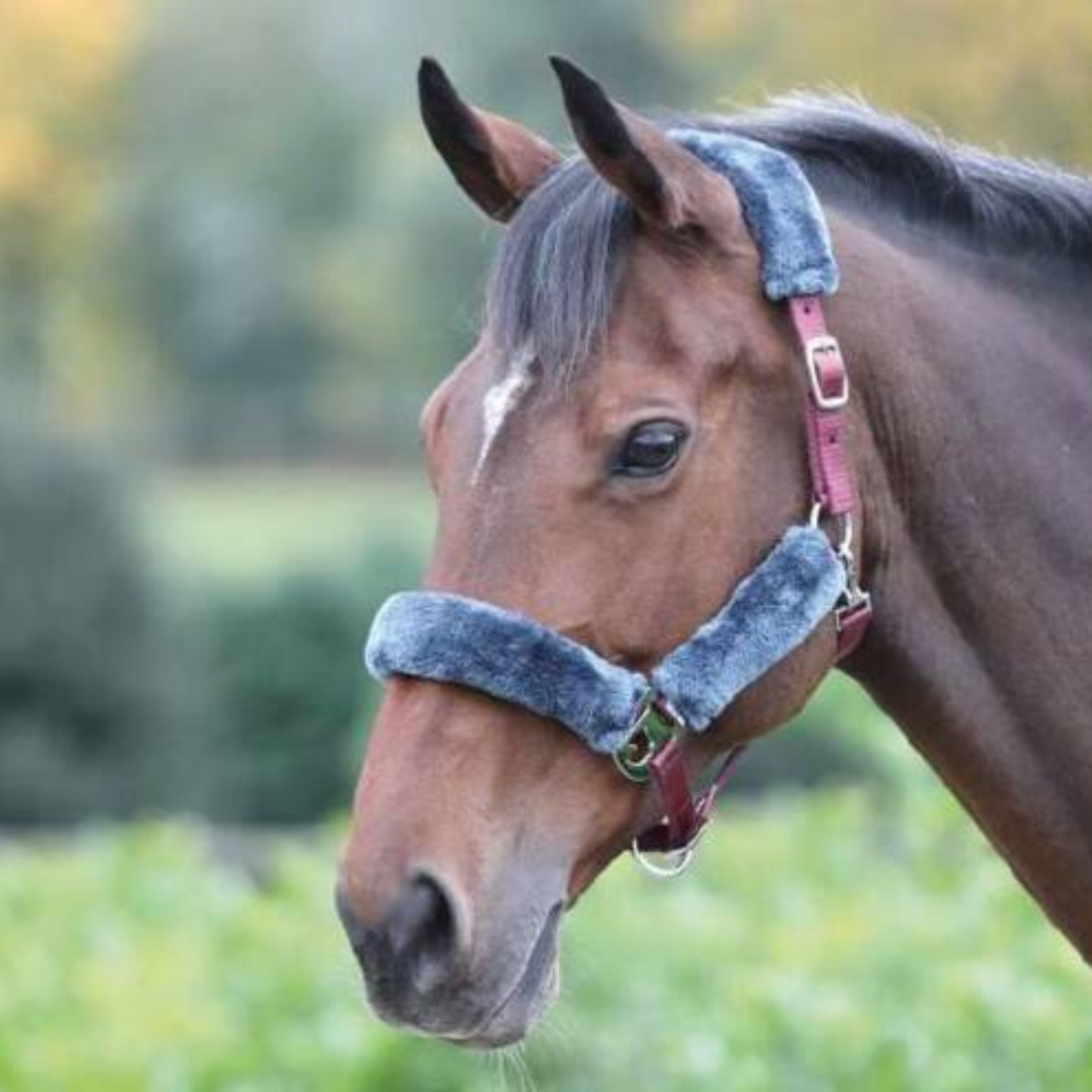 Shires Fleece Breakaway Halter