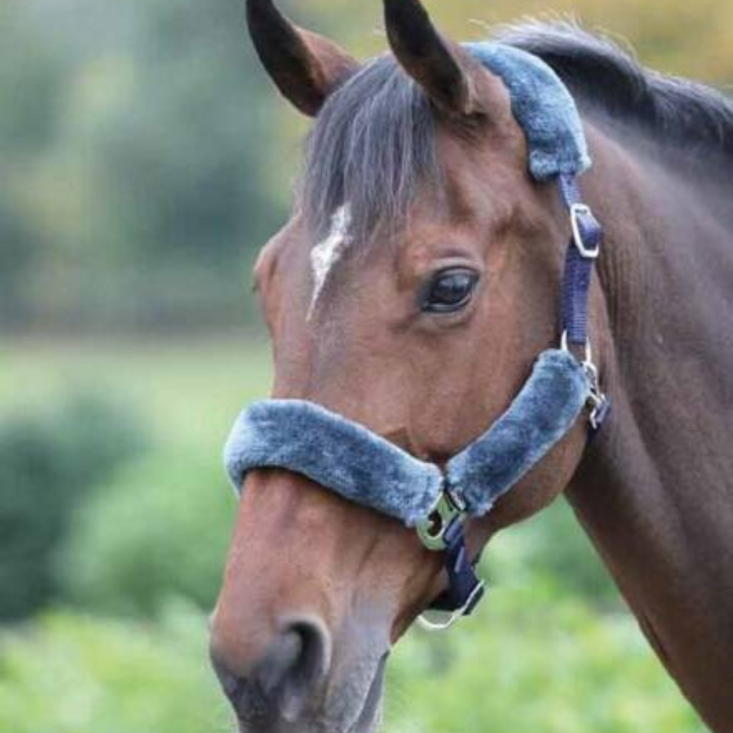 Shires Fleece Breakaway Halter