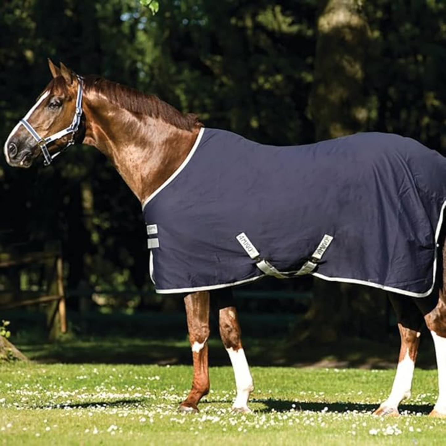 Horseware Amigo Stable Sheet X Sur Poly