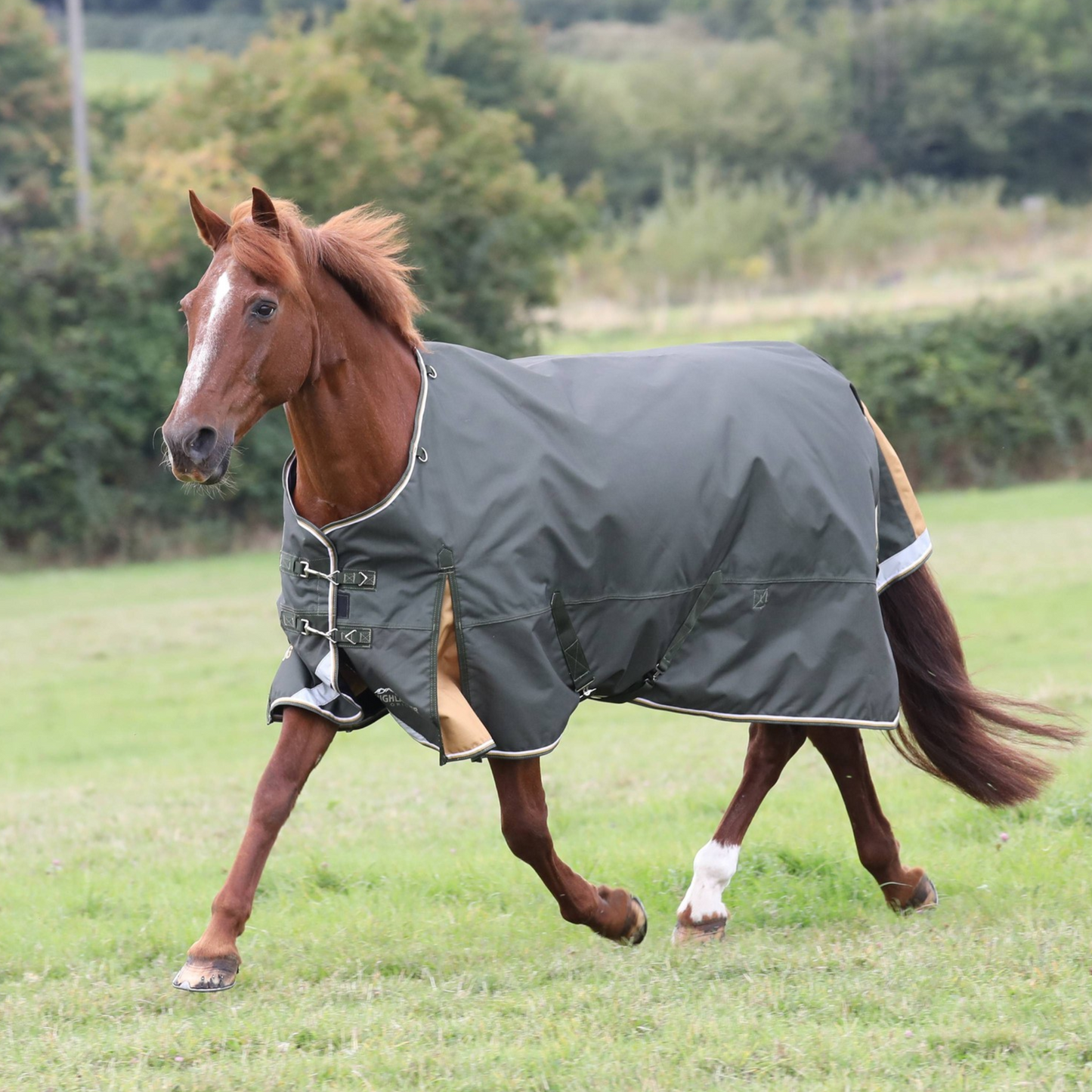 Shires Highlander Plus Lite Standard Neck Blanket
