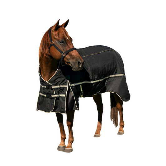 Noble Outfitters Guardsman 4-in-1 Turnout Kit System