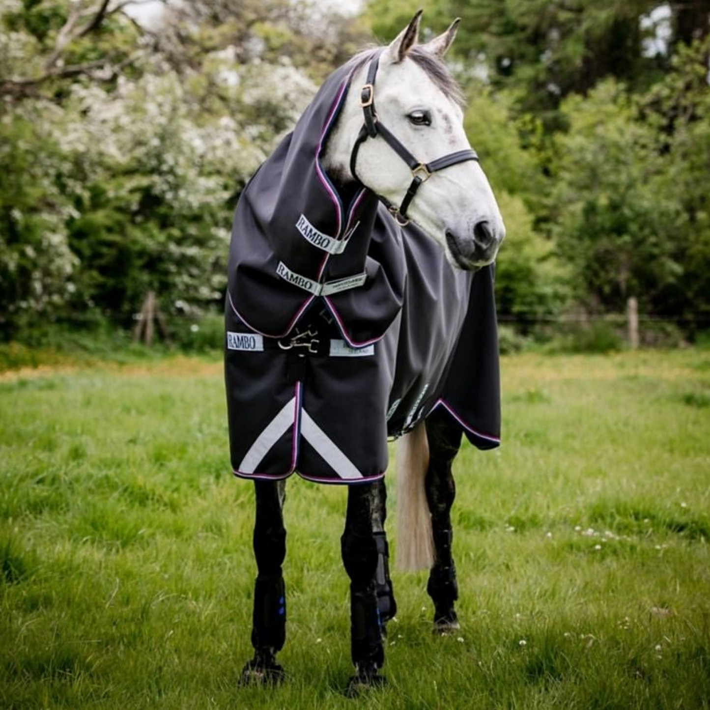 Horseware Rambo Supreme Turnout Sheet
