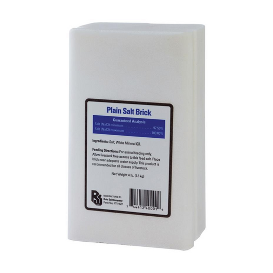 Plain Salt Block