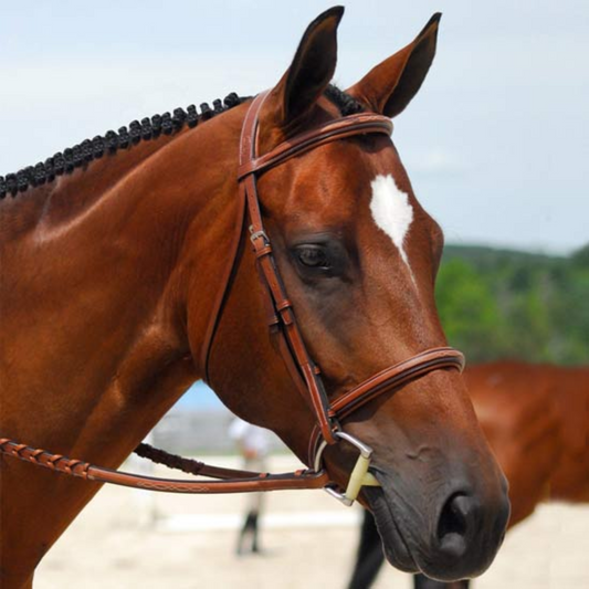 Bevel Conquer Monocrown Fancy Stitch Padded Bridle