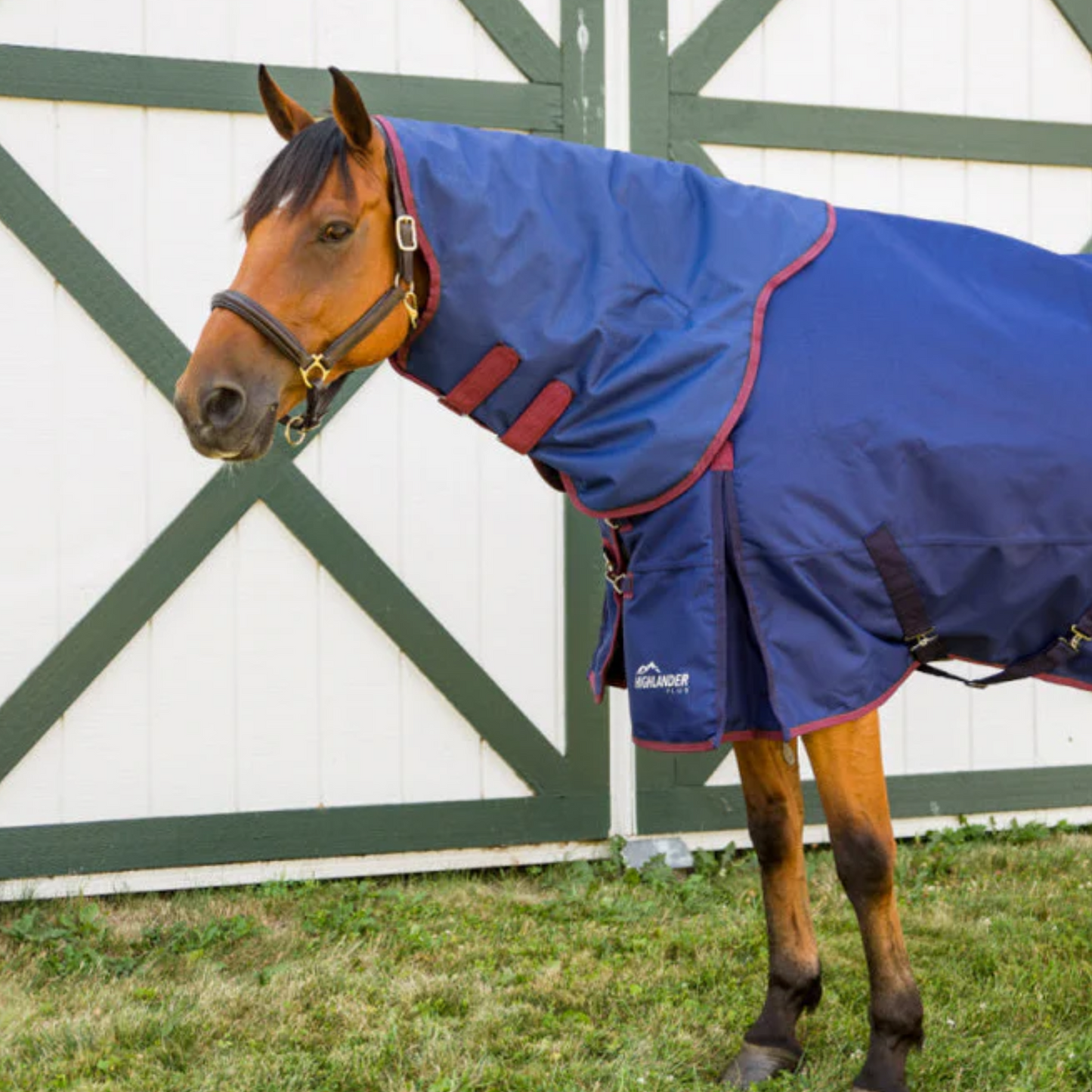 Shires Highlander Plus 300g Neck Cover