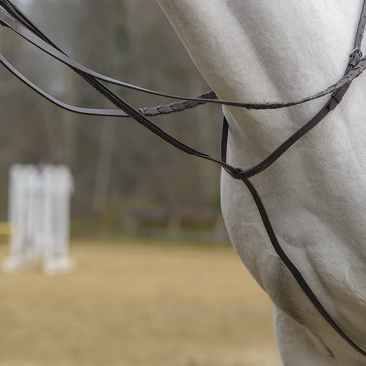 Avignon Standing Martingale