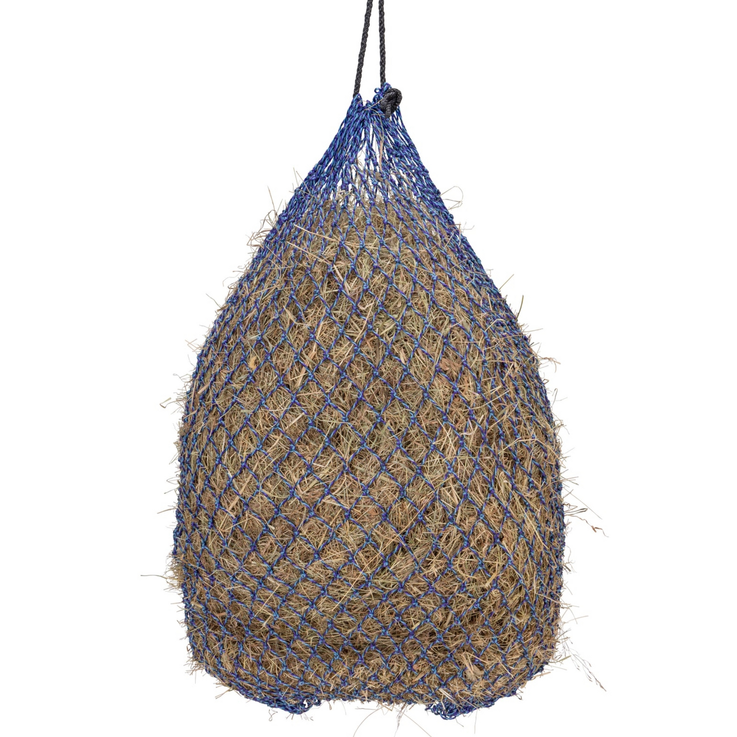 Greedy Feeder Color-Twist Net