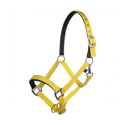 HKM Head Collar
