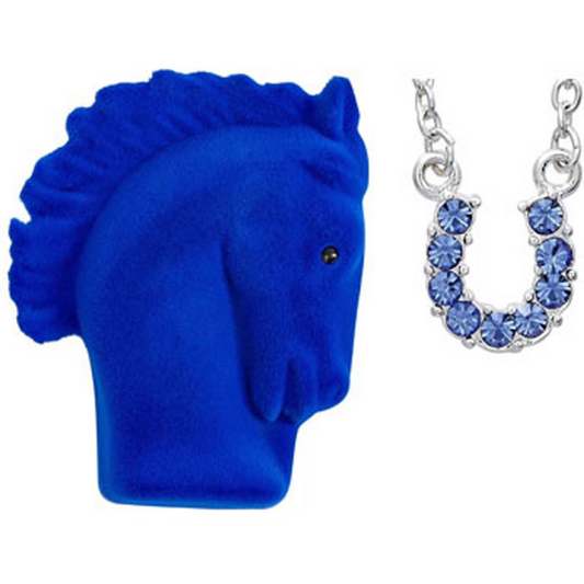 AWST Rhinestone Horseshoe Necklace with Horse Head Gift Box